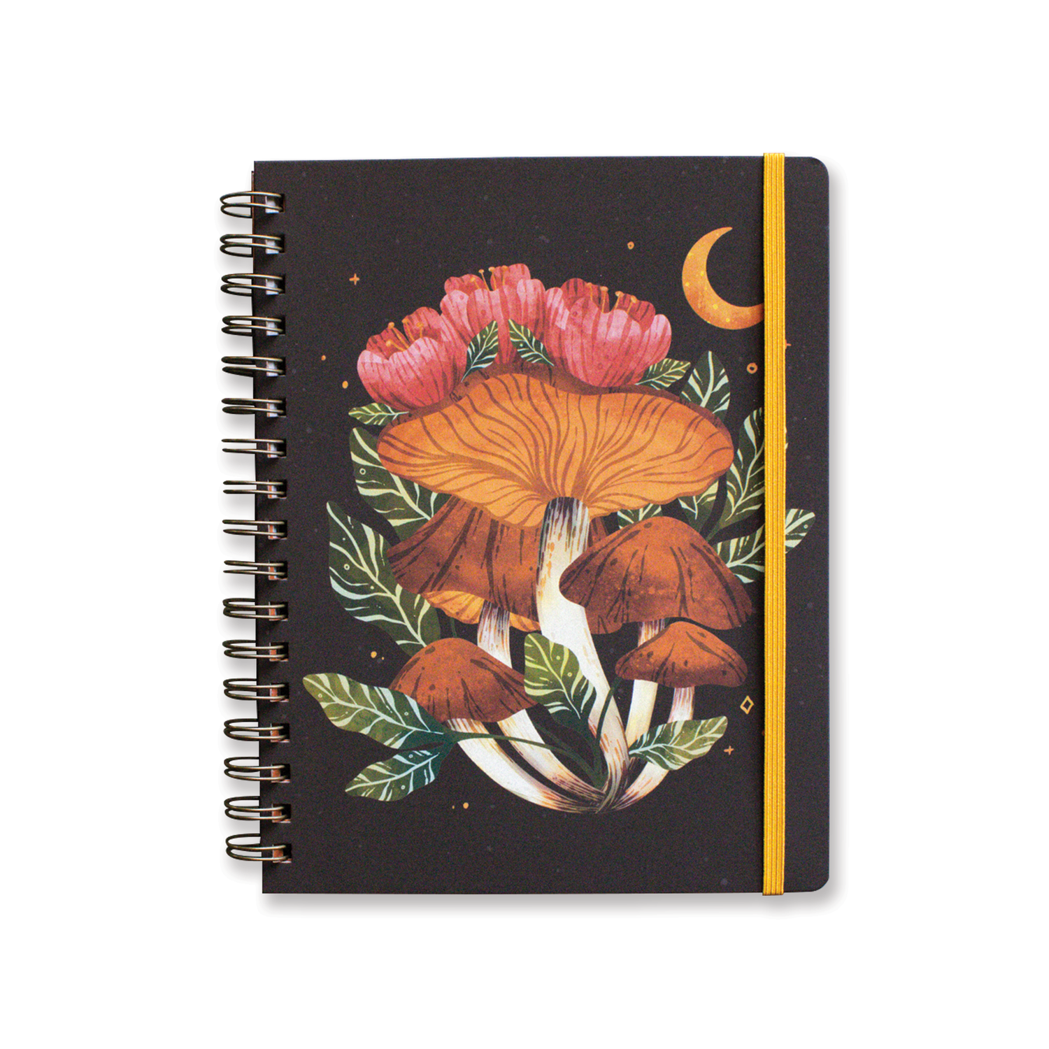 Journals and Notebooks