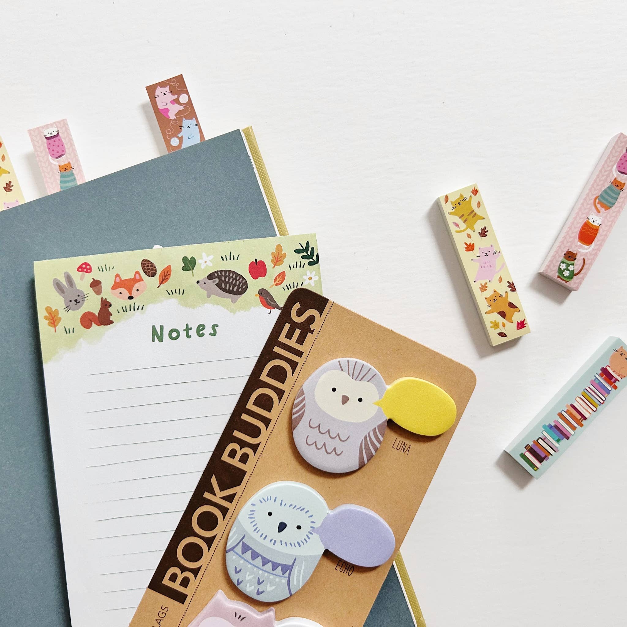 Notes & Notepads