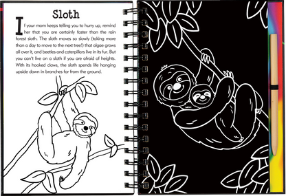 Rain Forest Scratch and Sketch