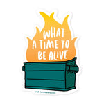 Dumpster Fire Vinyl Sticker (What a Time to Be Alive)