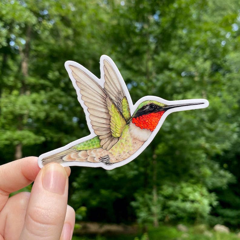 Male Ruby-Throated Hummingbird Weatherproof Vinyl Sticker