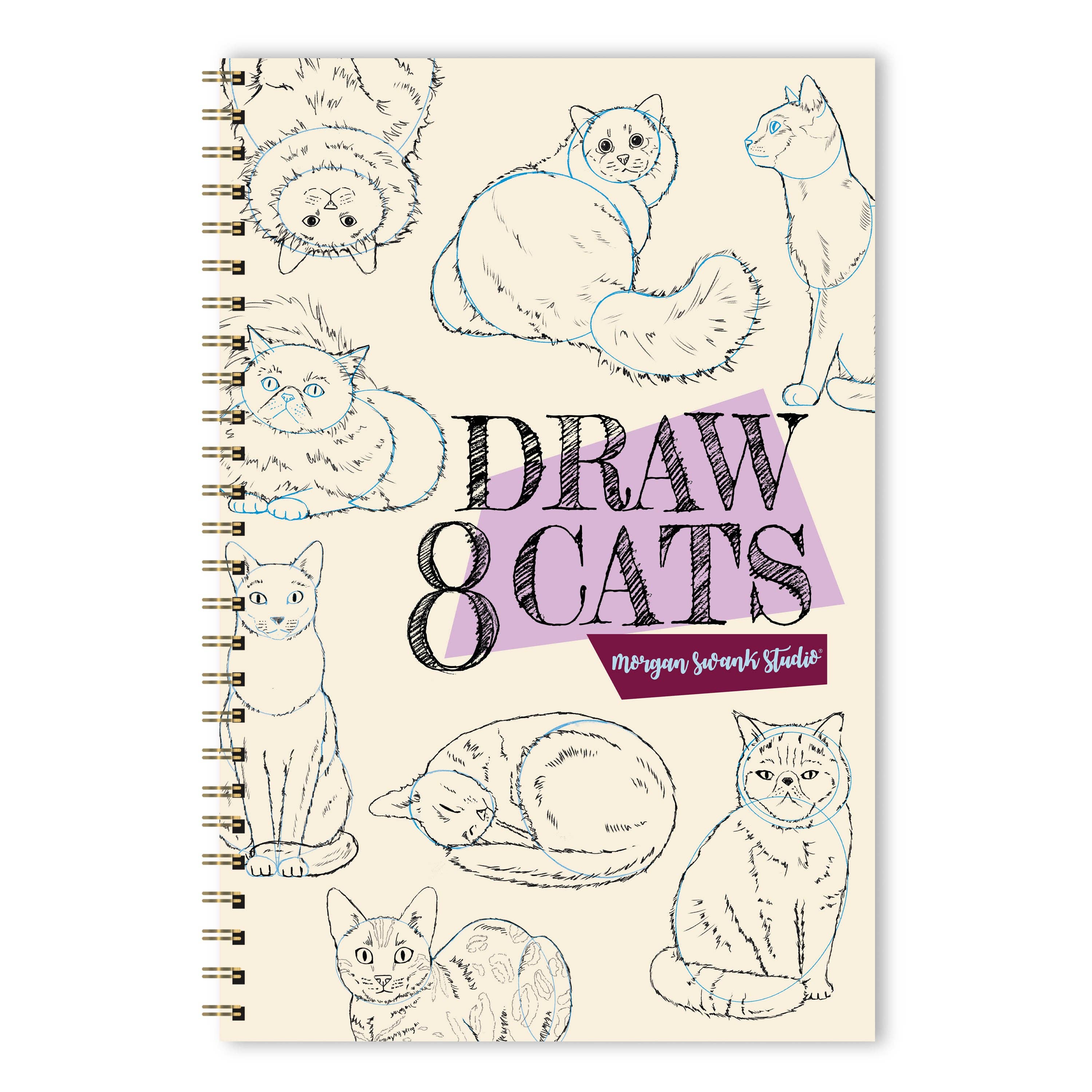 Draw 8 Cats | Drawing Activity Book