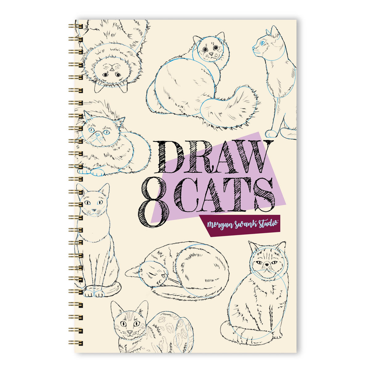Draw 8 Cats | Drawing Activity Book