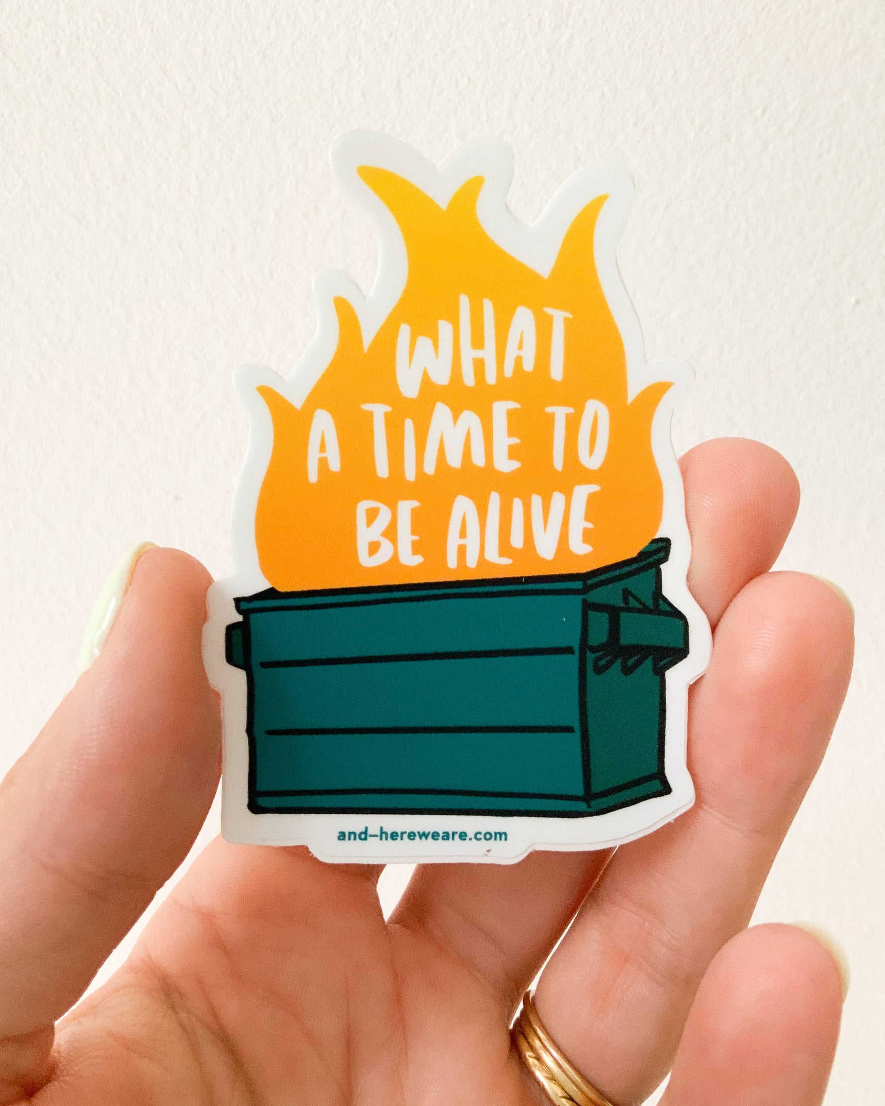 Dumpster Fire Vinyl Sticker (What a Time to Be Alive)