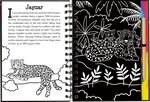 Rain Forest Scratch and Sketch
