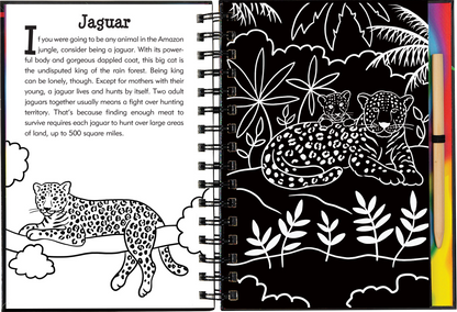 Rain Forest Scratch and Sketch