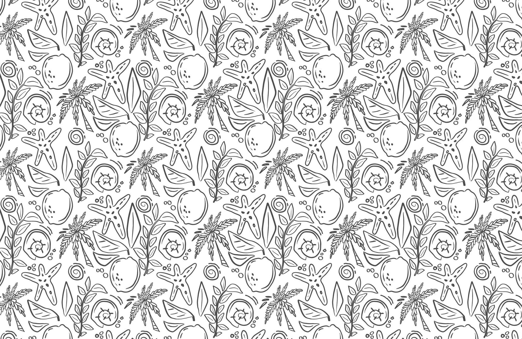 The Mediterranean Coloring Book