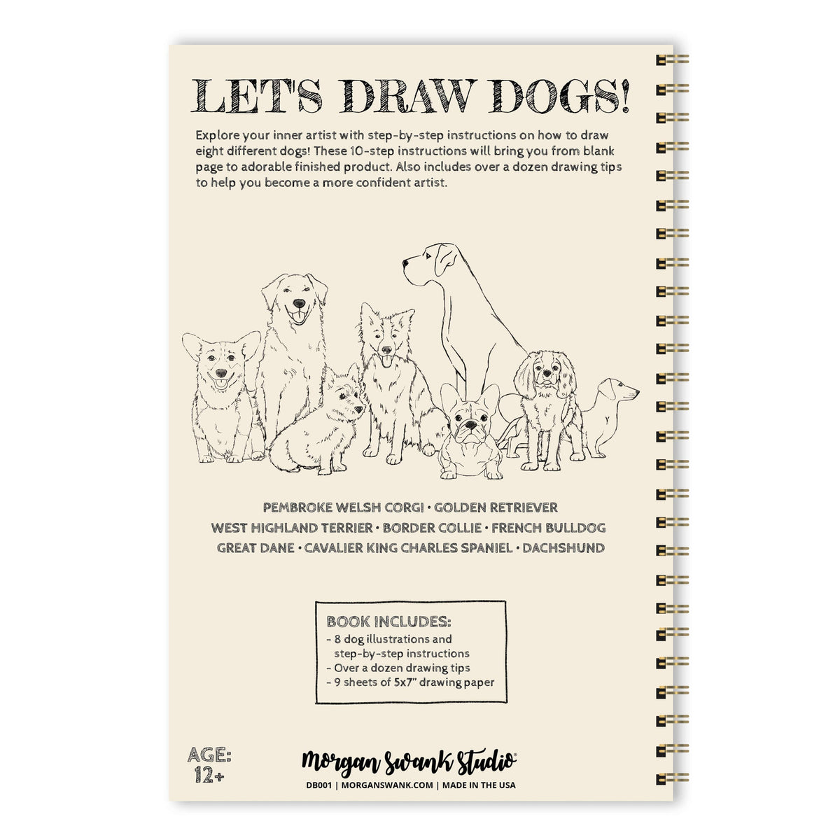 Draw 8 Dogs | Drawing Activity Book