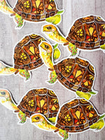 Box Turtle clear vinyl sticker