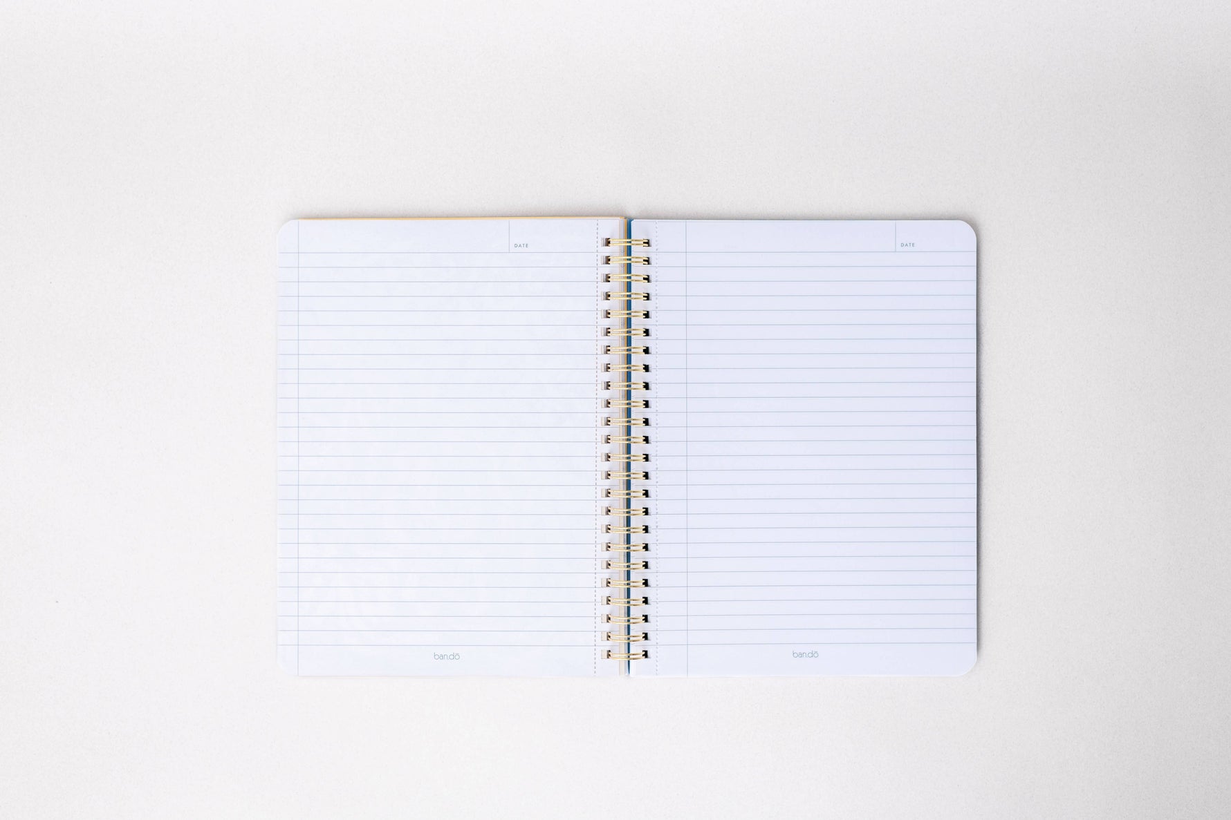 Rough Draft Notebook, Tulips