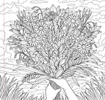 Wildflowers Adult Coloring Book