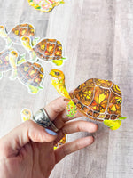Box Turtle clear vinyl sticker