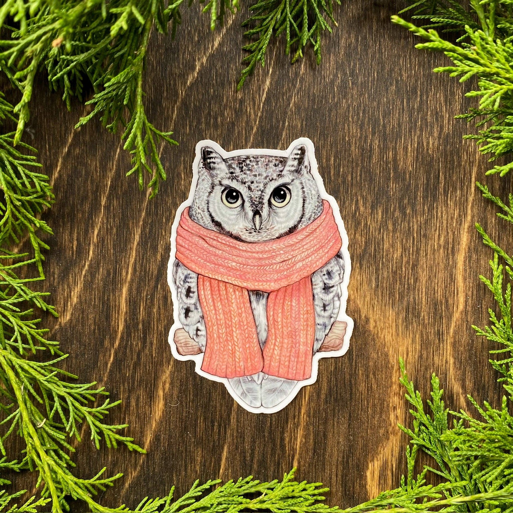 Cozy Eastern Screech Owl Vinyl Sticker
