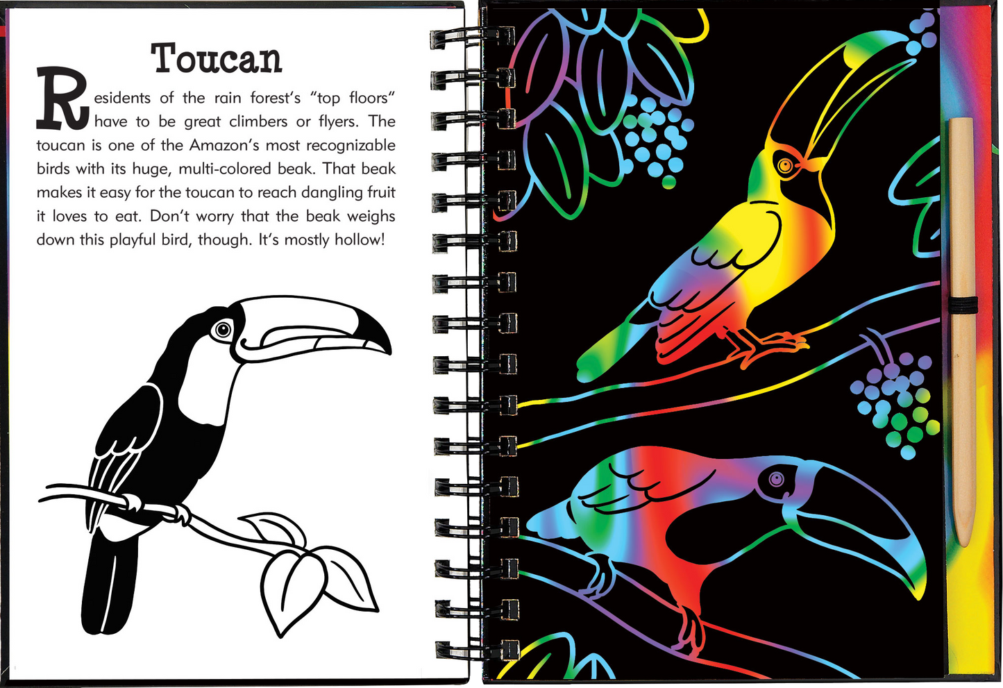 Rain Forest Scratch and Sketch