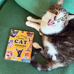 Hiss-terically Funny Cat Stickers book