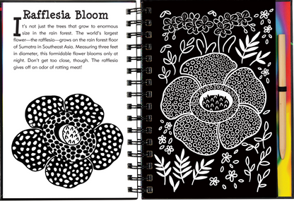 Rain Forest Scratch and Sketch
