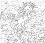 Enchanted Kingdom Adult coloring book