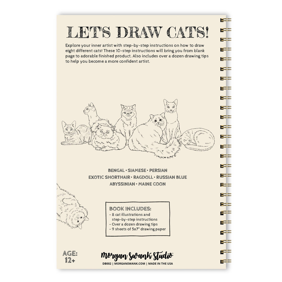 Draw 8 Cats | Drawing Activity Book
