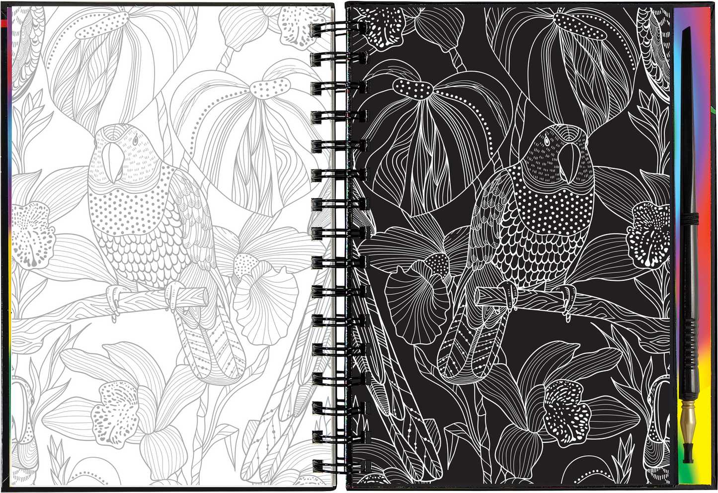 Extreme! The World of Birds Scratch and Sketch