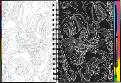 Extreme! The World of Birds Scratch and Sketch