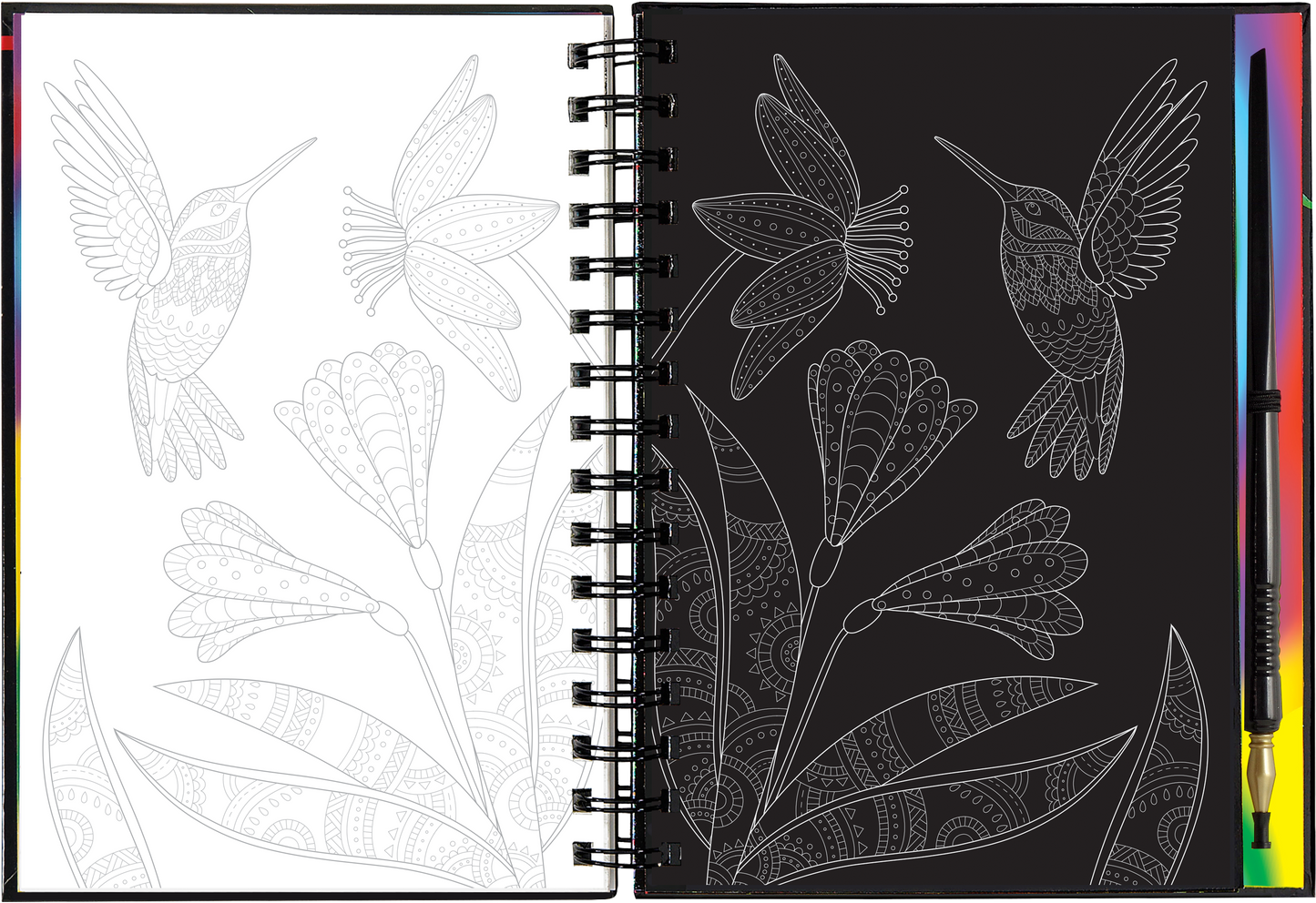 Extreme! The World of Birds Scratch and Sketch