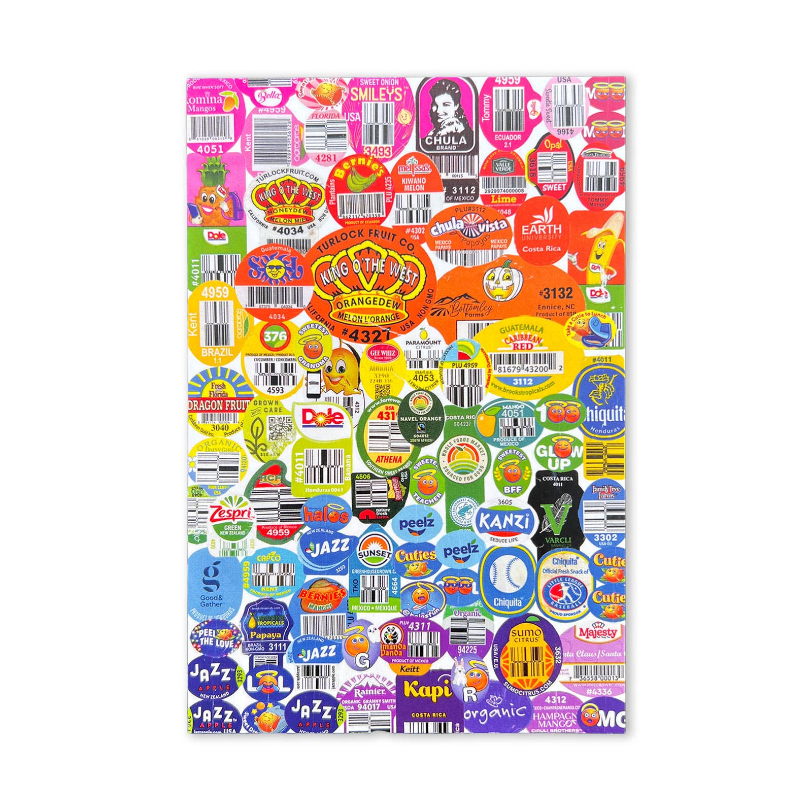 Rainbow Order Postcard Pack