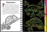 Rain Forest Scratch and Sketch