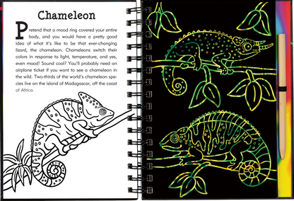 Rain Forest Scratch and Sketch