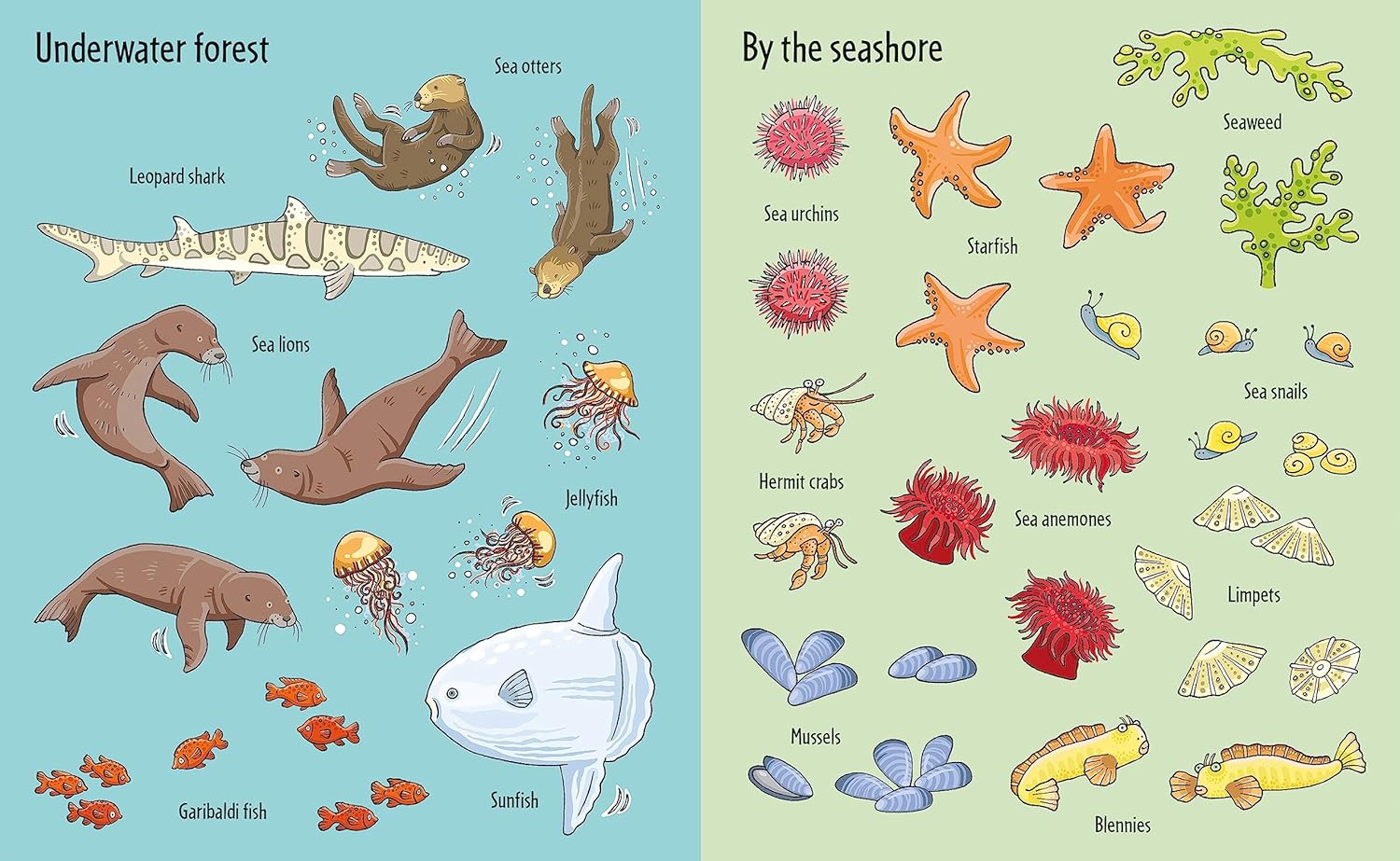 First Sticker Book Under the Sea